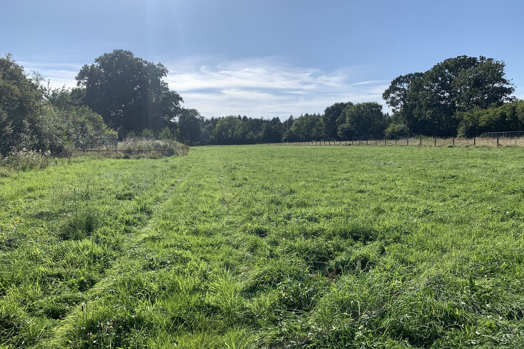 Keepers Paddock, Middlemarsh Properties Maxgate Properties Dorchester